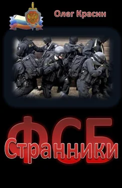 Олег Красин Странники обложка книги