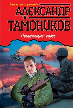 Александр Тамоников Пылающие горы обложка книги