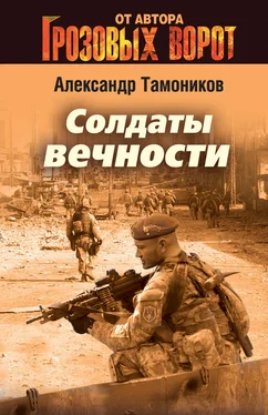 Александр Тамоников Солдаты вечности обложка книги