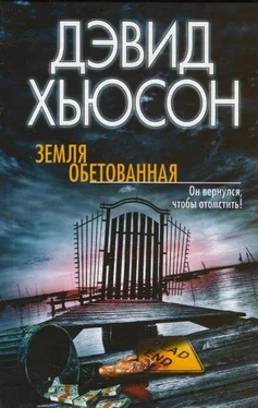 Дэвид Хьюсон Земля обетованная обложка книги