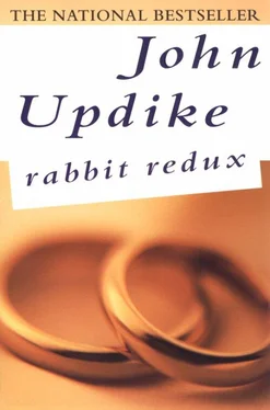 John Updike Rabbit Redux обложка книги