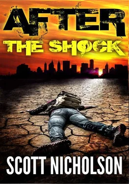 Scott Nicholson The Shock обложка книги
