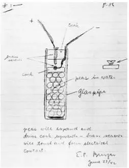 Burgers drawing of a peainbottle detonating device The handkerchief with - фото 13