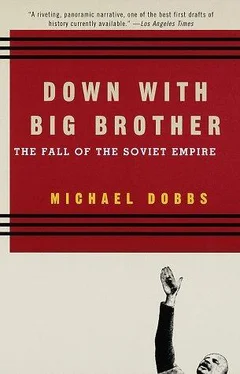 Michael Dobbs Down with Big Brother обложка книги