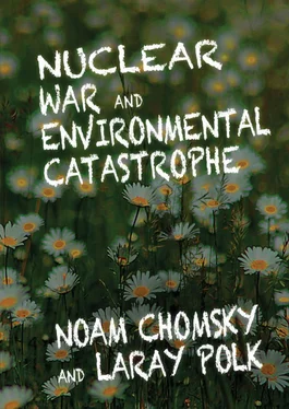 Noam Chomksy Nuclear War and Environmental Catastrophe обложка книги