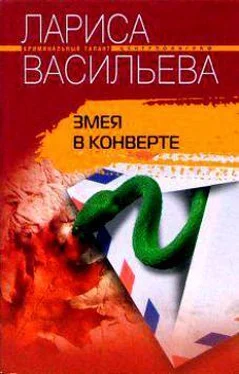 Лариса Васильева Змея в конверте обложка книги