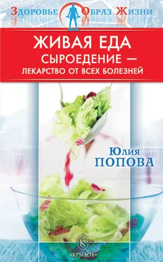 Юлия Попова Живая еда: Сыроедение – лекарство от всех болезней обложка книги