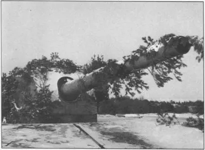 Finnish coastaldefense cannon near the mouth of the Gulf of Viipuri - фото 14