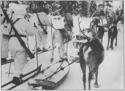 Boatshaped sledges pulled by reindeer used by Finns in central and northern - фото 15