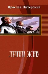 Вера Чиркова - Простая история