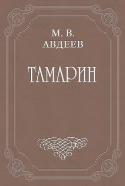 Михаил Авдеев Тамарин обложка книги