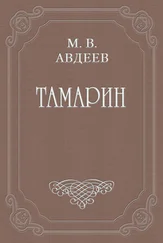 Михаил Авдеев - Тамарин