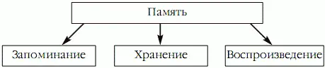 Не помнить не справиться ни с одним из вышеуказанных пунктов Эти функции - фото 2