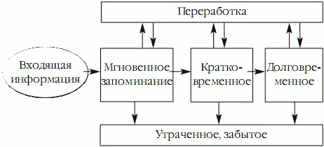 Вся информация которую мы воспринимаем запоминается и остается в памяти на - фото 11