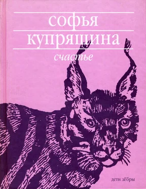 Софья Купряшина Счастье обложка книги