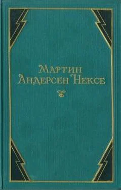 Мартин Нексе В железном веке обложка книги