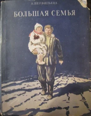 Анастасия Перфильева Большая семья обложка книги