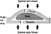 Крыло во время движения как бы подсасывает груз с некоторой помощью Даниила - фото 29
