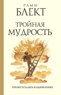 Рами Блект Тройная мудрость (сборник) обложка книги