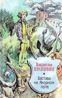 Владислав Крапивин Застава на Якорном Поле обложка книги