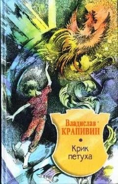 Владислав Крапивин Крик петуха обложка книги