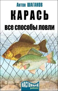 Антон Шаганов Карась. Все способы ловли обложка книги