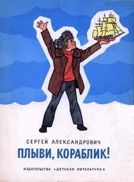 Сергей Александрович Плыви, кораблик! обложка книги