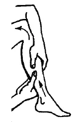 Рис 46 Голени бедра Массажные движения поглаживание всей ноги снизу - фото 46