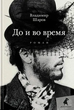 Владимир Шаров До и во время обложка книги