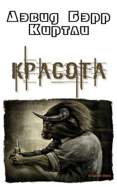Дэвид Киртли Красота обложка книги