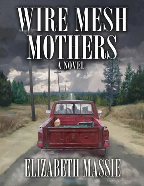 Elizabeth Massie Wire Mesh Mothers обложка книги