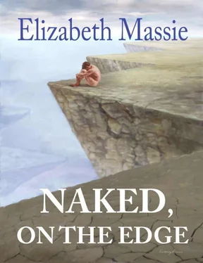 Elizabeth Massie Naked, on the Edge обложка книги