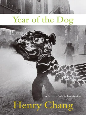 Henry Chang Year of the Dog обложка книги