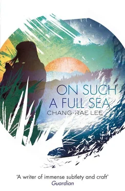 Chang-Rae Lee On Such A Full Sea обложка книги