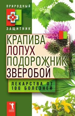 Юлия Николаева Крапива, лопух, подорожник, зверобой. Лекарства от 100 болезней обложка книги