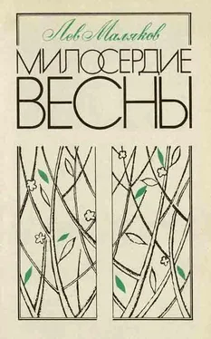 Лев Маляков Милосердие весны обложка книги