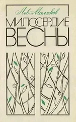 Лев Маляков - Милосердие весны