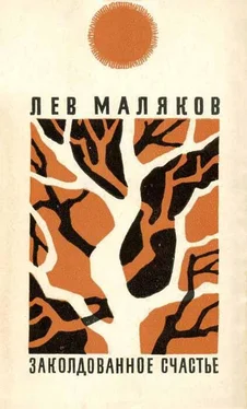 Лев Маляков Заколдованное счастье обложка книги