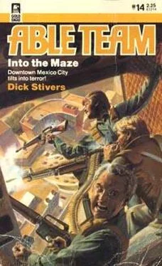 Dick Stivers Into the Maze обложка книги