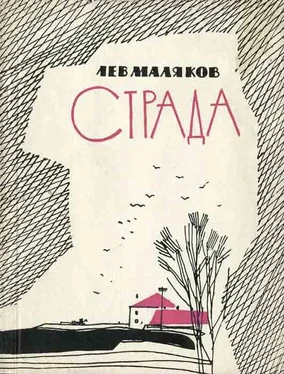 Лев Маляков Страда обложка книги