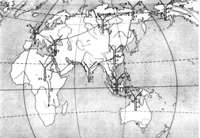 Рис 9 Рис 9 Пути народообразующей миграции современного человека из - фото 13