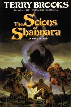 Terry Brooks The Scions of Shannara обложка книги