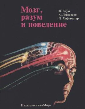 Флойд Блум Мозг, разум и поведение обложка книги