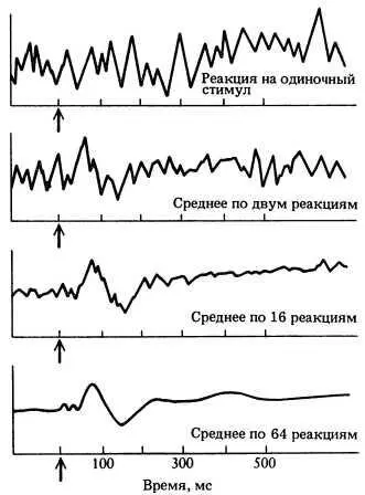 Рис 150 Вызванный потенциал отражает реакцию мозга на зрительные или слуховые - фото 173