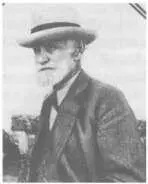 Иван Петрович Павлов 18491936 Первая из них это пеллагра вызываемая - фото 191