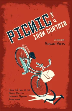 Susan Viets Picnic at the Iron Curtain обложка книги