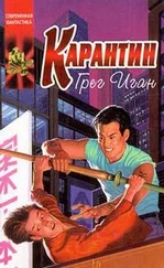 Грег Иган - Карантин