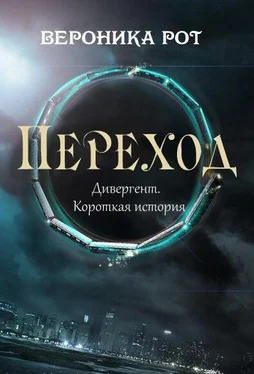 Вероника Рот Переход обложка книги