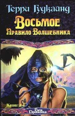 Терри Гудкайнд Восьмое Правило Волшебника, или Голая империя, книга 1 обложка книги