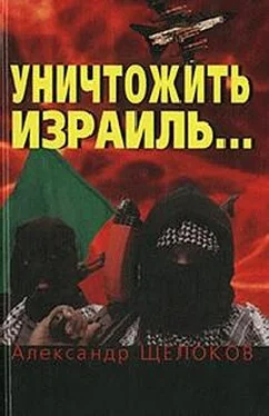Александр Щелоков Уничтожить Израиль обложка книги